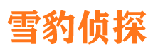 邵阳找人公司